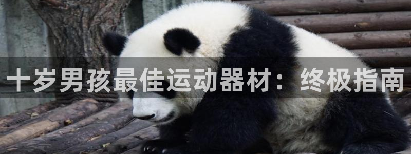 意昂体育3招商电话地址查询：十岁男孩最佳运动器材：终