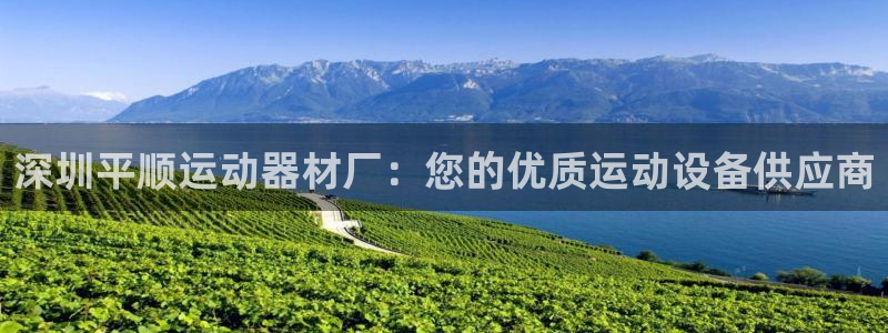 德国意昂3集团：深圳平顺运动器材厂：您的优质运动设备