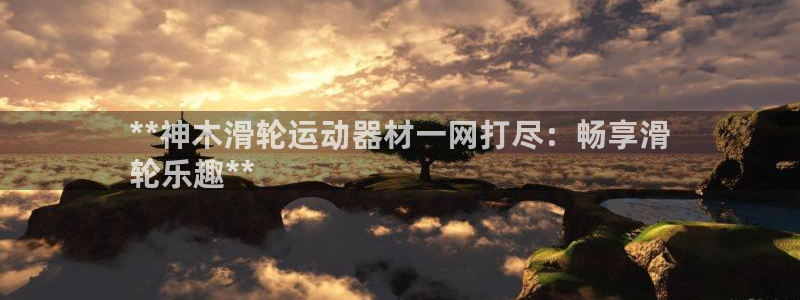 德国意昂3集团：**神木滑轮运动器材一网打尽：畅享滑