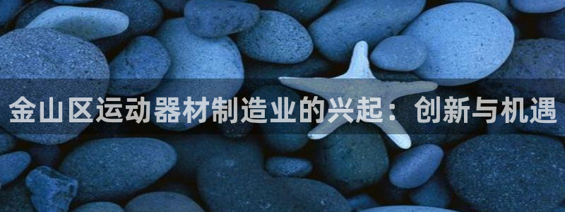 意昂3娱乐40996：金山区运动器材制造业的兴起：创