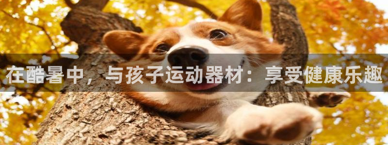 意昂体育3注册：在酷暑中，与孩子运动器材：享受健康乐