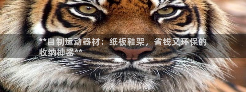 意昂体育3平台APP：**自制运动器材：纸板鞋架，省