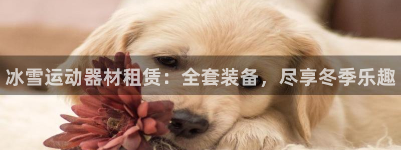 意昂3娱乐下载：冰雪运动器材租赁：全套装备，尽享冬季