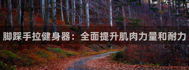意昂体育3招商电话是多少号码：脚踩手拉健身器：全面提