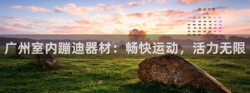 意昂体育3招商：广州室内蹦迪器材：畅快运动，活力无限