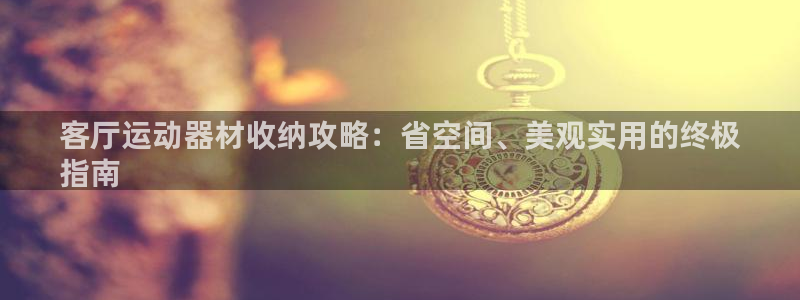 意昂3神州：客厅运动器材收纳攻略：省空间、美观实用的