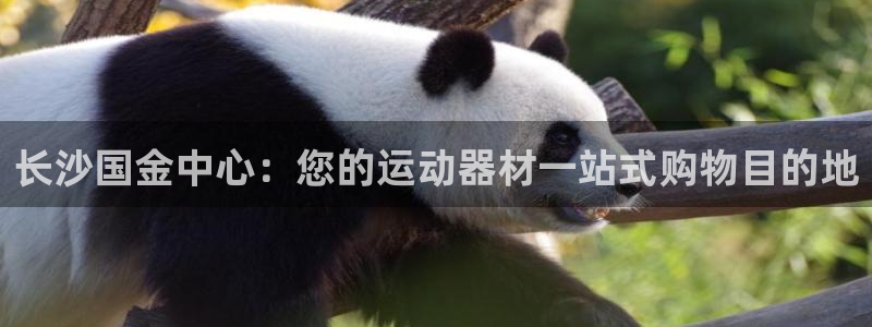 意昂体育3招商电话是多少啊：长沙国金中心：您的运动器