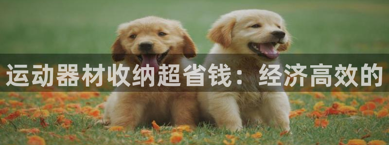 意昂体育3平台是正规平台吗：运动器材收纳超省钱：经济