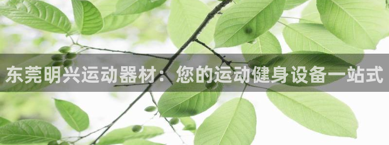 意昂3官方：东莞明兴运动器材：您的运动健身设备一站式