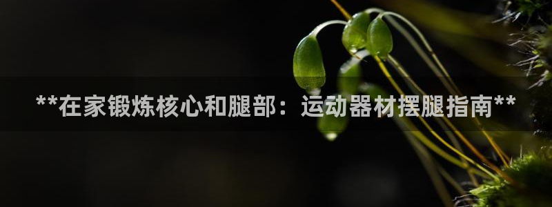 意昂体育3娱乐：**在家锻炼核心和腿部：运动器材摆腿