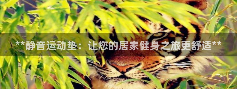 意昂3集团官网首页：**静音运动垫：让您的居家健身之