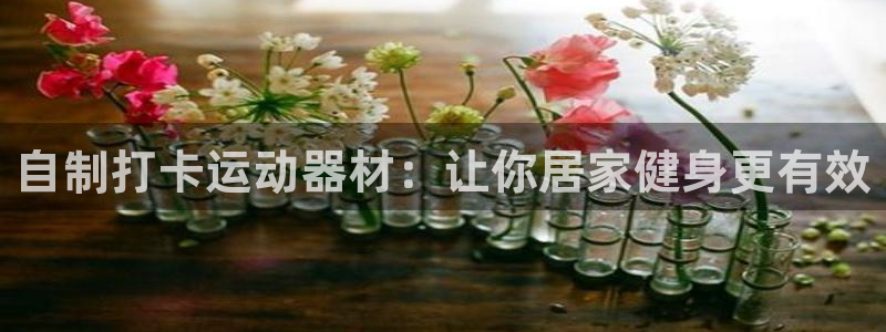 意昂3娱乐下载：自制打卡运动器材：让你居家健身更有效