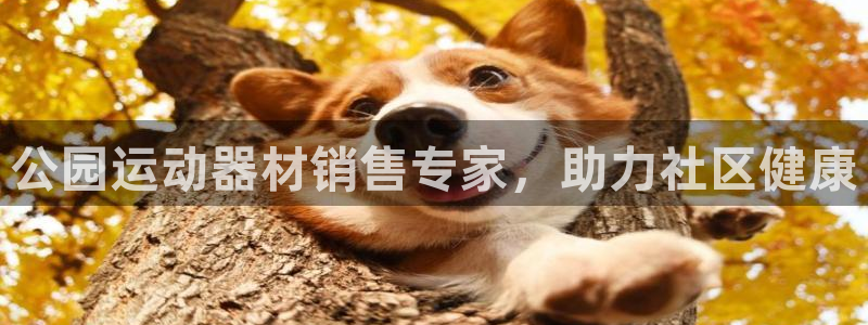 意昂体育3招商电话号码是多少号：公园运动器材销售专家