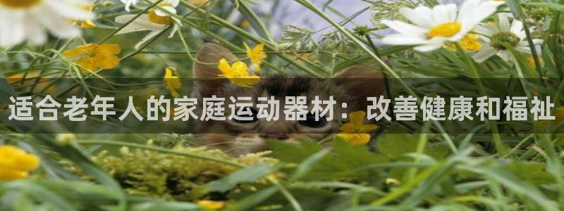 意昂3集团E.ON：适合老年人的家庭运动器材：改善健