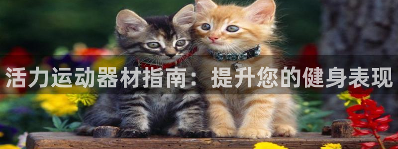 意昂3官方：活力运动器材指南：提升您的健身表现