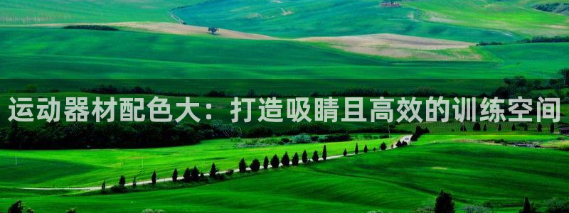 意昂体育3招商电话地址查询：运动器材配色大：打造吸睛