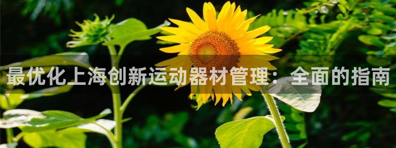 意昂3集团官网首页网址：最优化上海创新运动器材管理：