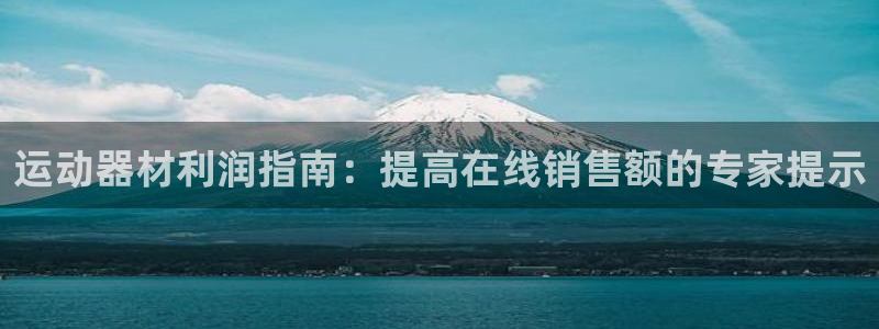 意昂3代理：运动器材利润指南：提高在线销售额的专家提