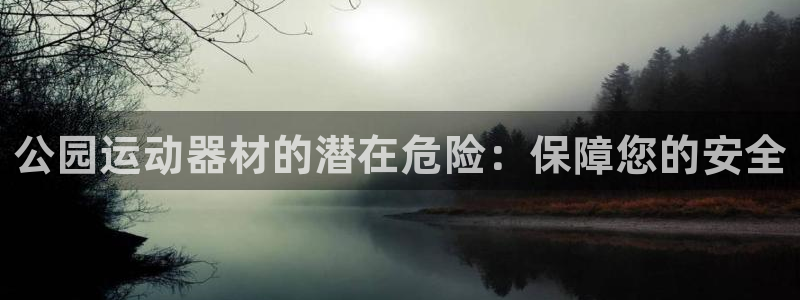 意昂3新能源：公园运动器材的潜在危险：保障您的安全