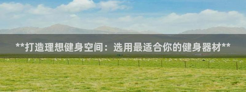 意昂3集团E.ON：**打造理想健身空间：选用最适合