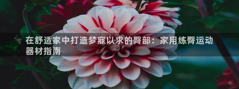 意昂体育3招商：在舒适家中打造梦寐以求的臀部：家用练