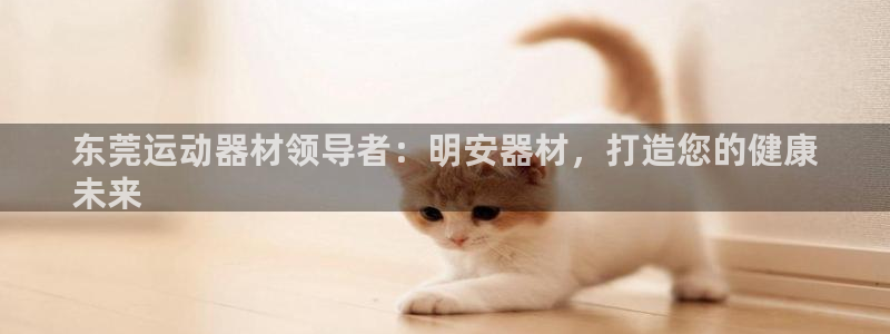 意昂3娱乐下载：东莞运动器材领导者：明安器材，打造您