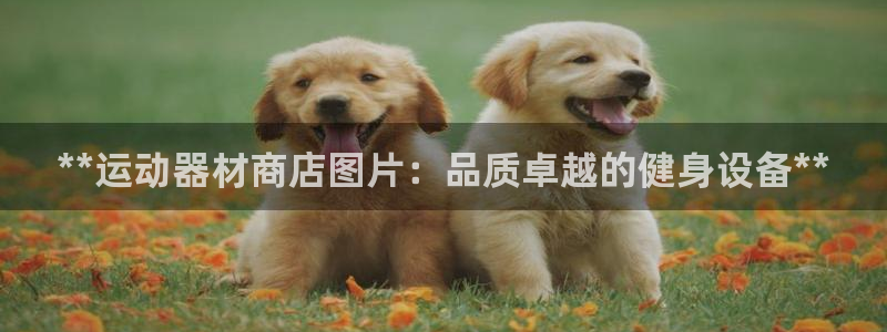 意昂体育3平台注册要钱吗是真的吗：**运动器材商店图