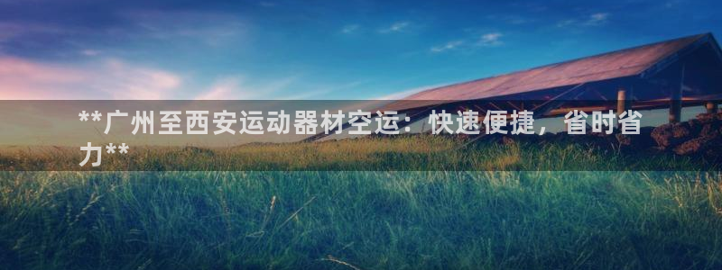 德国意昂3集团：**广州至西安运动器材空运：快速便捷