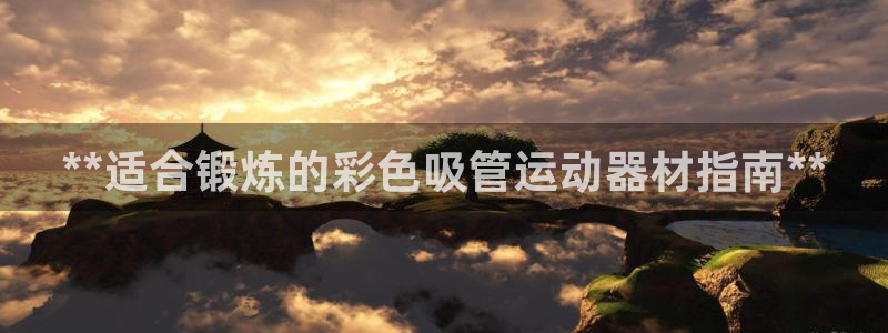 意昂平台体育：**适合锻炼的彩色吸管运动器材指南**