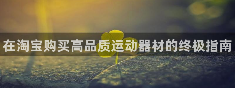 意昂3官网：在淘宝购买高品质运动器材的终极指南