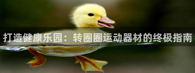 意昂体育3平台假的吗是真的吗吗：打造健康乐园：转圈圈