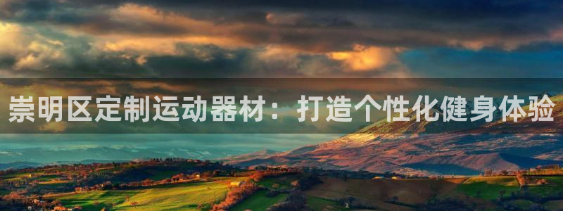 海南意昂体育3：崇明区定制运动器材：打造个性化健身体