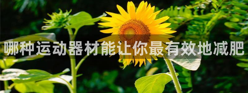 意昂体育3联系电话：哪种运动器材能让你最有效地减肥