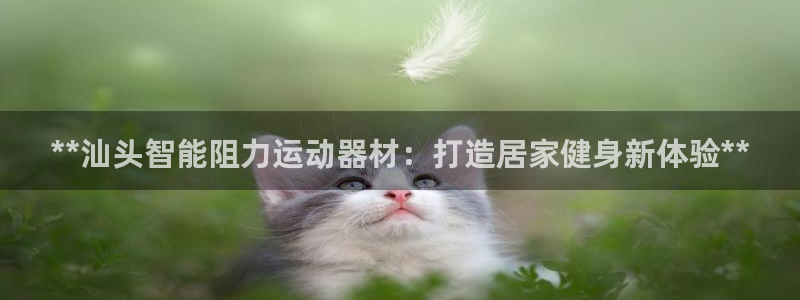 海南意昂体育3发展怎么样：**汕头智能阻力运动器材：