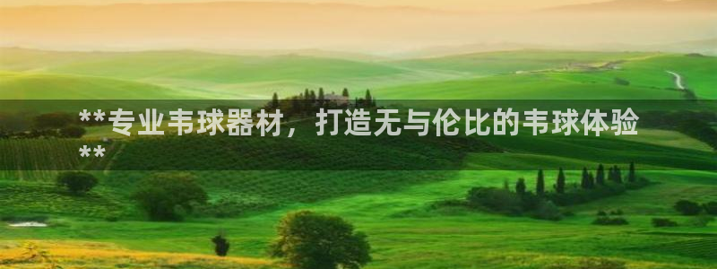 意昂3官方：**专业韦球器材，打造无与伦比的韦球体验