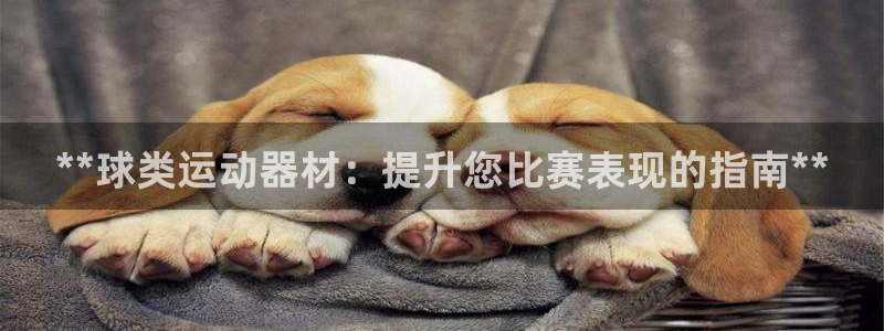 意昂体育3招商电话地址是多少：**球类运动器材：提升