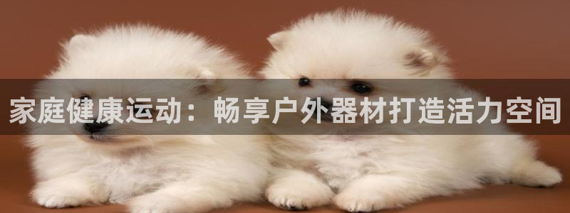 意昂3娱乐首页官网下载：家庭健康运动：畅享户外器材打