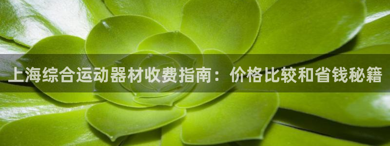 意昂体育3招商电话是多少：上海综合运动器材收费指南：