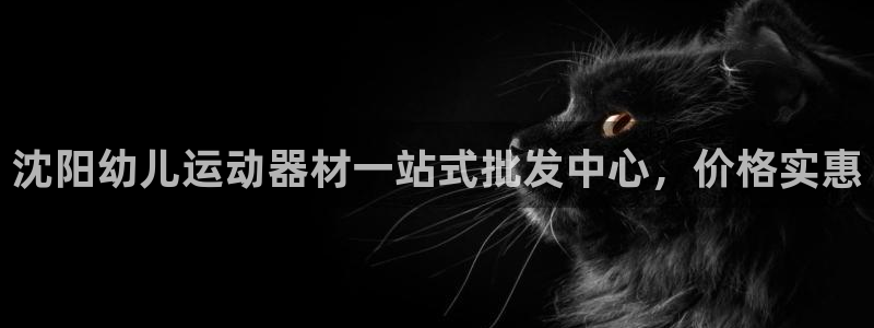 意昂3娱乐下载：沈阳幼儿运动器材一站式批发中心，价格