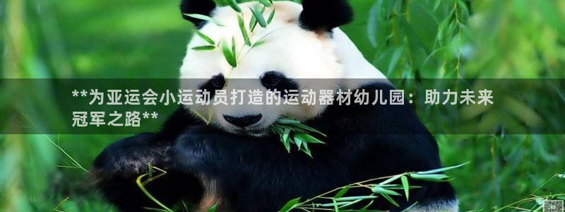 意昂体育3平台APP：**为亚运会小运动员打造的运动