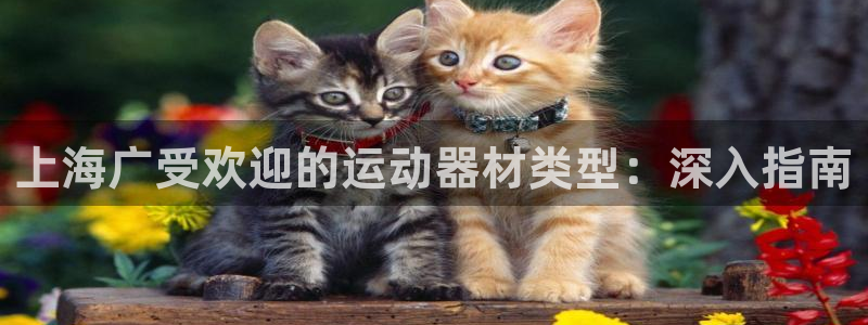 意昂体育3平台是正规平台吗：上海广受欢迎的运动器材类