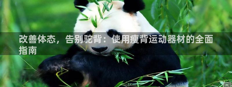 意昂体育3平台注册要钱吗：改善体态，告别驼背：使用瘦