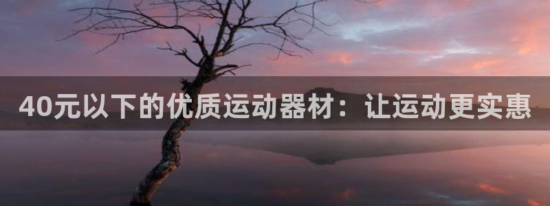 意昂体育3官方客服电话：40元以下的优质运动器材：让