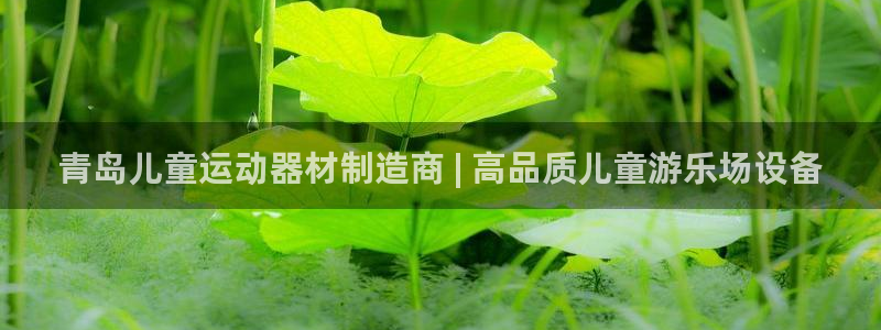 意昂3娱乐代理怎么样：青岛儿童运动器材制造商 | 高品质儿童