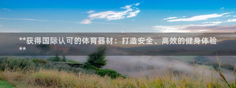 意昂3集团简介：**获得国际认可的体育器材：打造安全、高效的