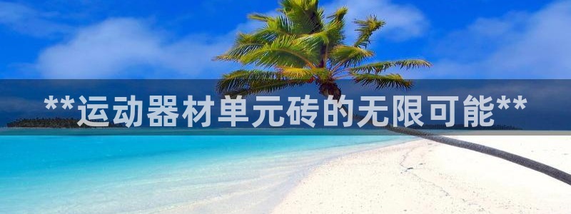 意昂3娱乐平台：**运动器材单元砖的无限可能**