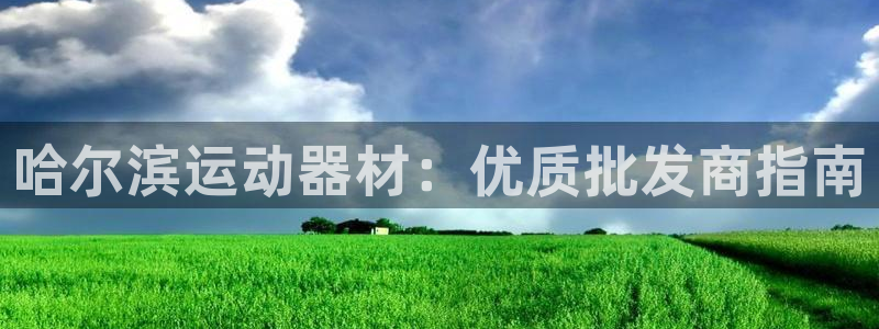 意昂3集团E.ON：哈尔滨运动器材：优质批发商指南