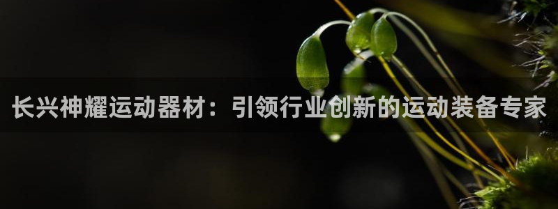 意昂体育3注册：长兴神耀运动器材：引领行业创新的运动