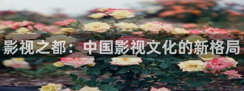 汤姆影院色：影视之都：中国影视文化的新格局