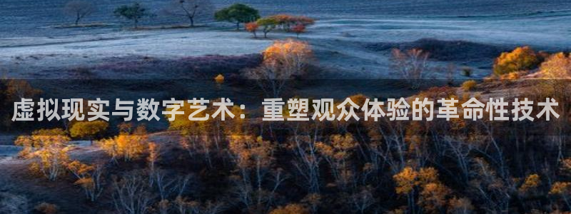 汤姆影音入口：虚拟现实与数字艺术：重塑观众体验的革命性技术